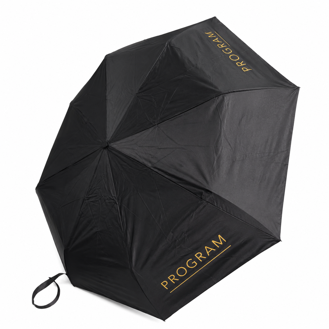 Program umbrella logo black