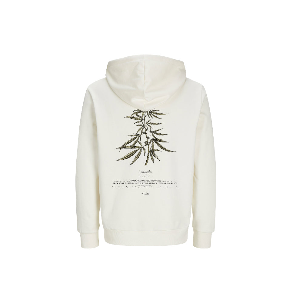 Back illustration botanical hoodie off-white